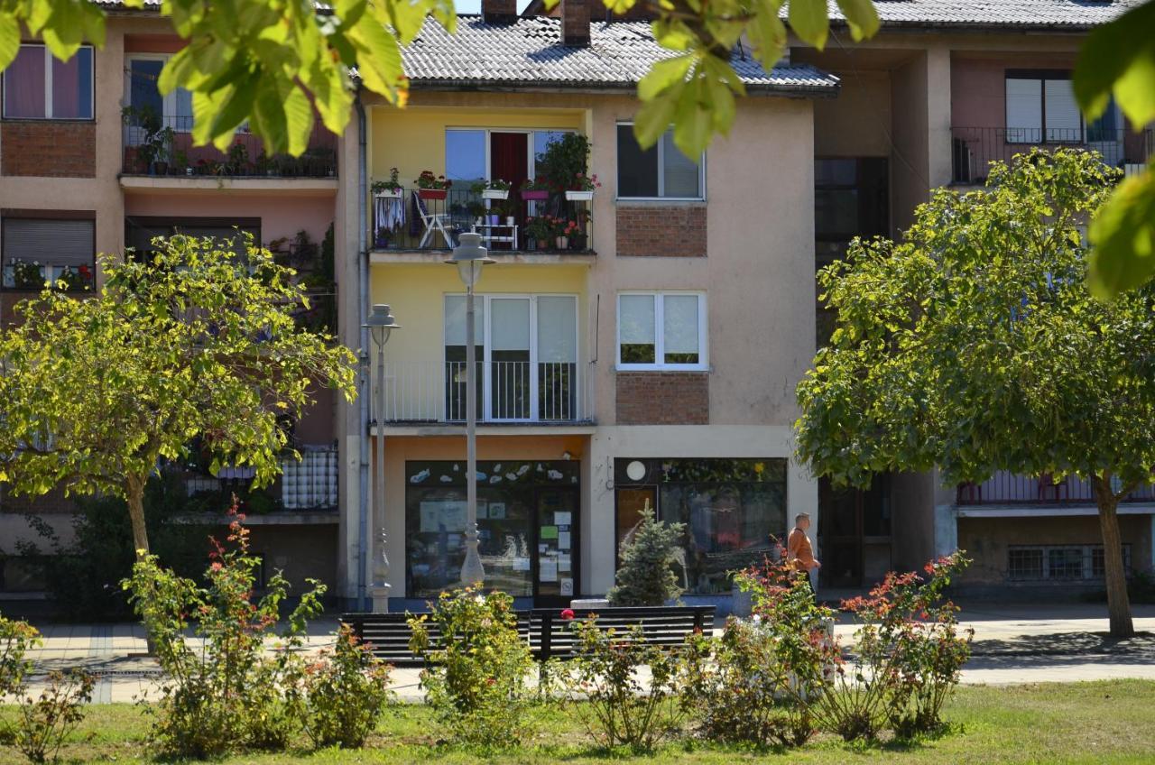 Apartman Terassa 下米拉诺瓦茨 外观 照片