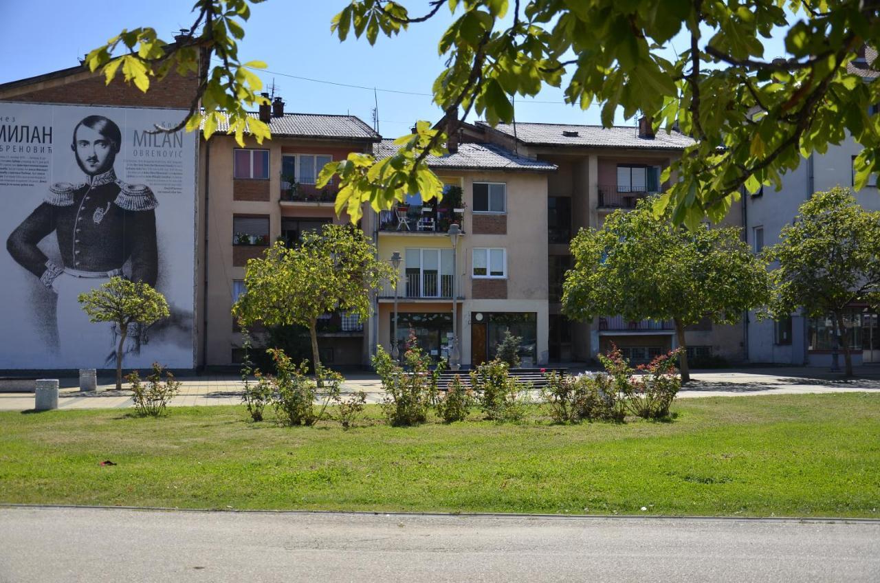 Apartman Terassa 下米拉诺瓦茨 外观 照片